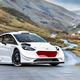 Photo credit: M-Sport. Mouth added by Raphael Orlove.